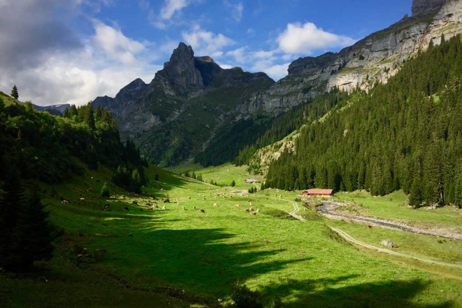 Buran Ghati Trek