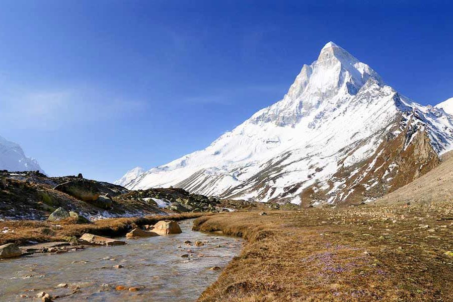 gaumukh tapovan trek
