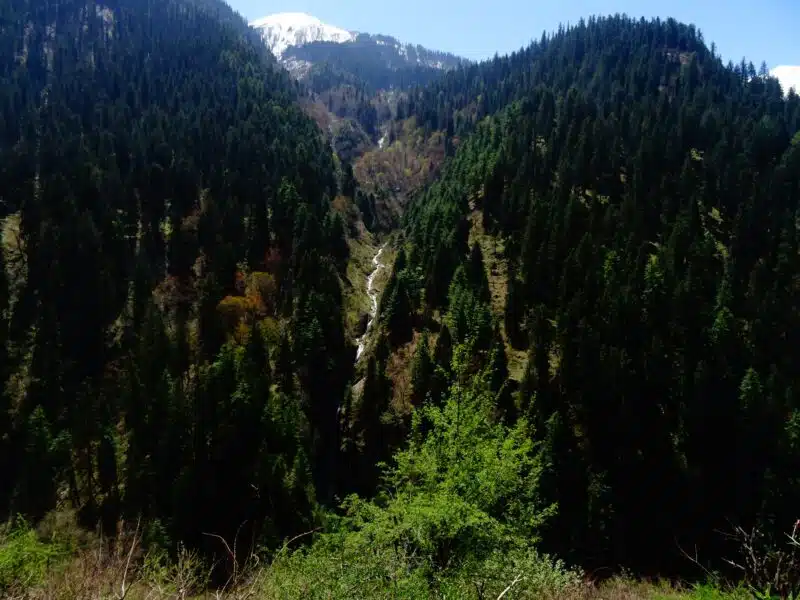 Himachal trekking packages