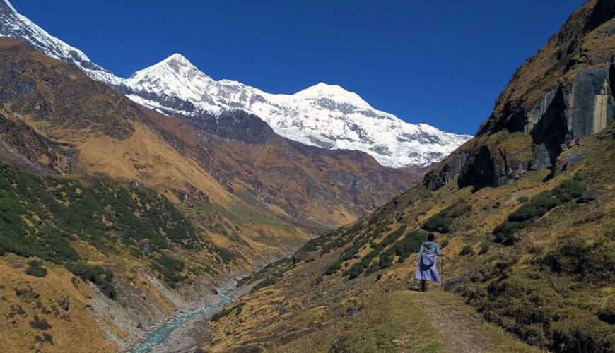 Pindari Glacier Trek