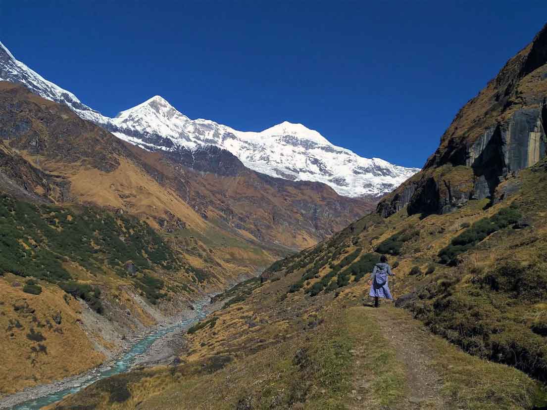 Pindari Glacier Trek