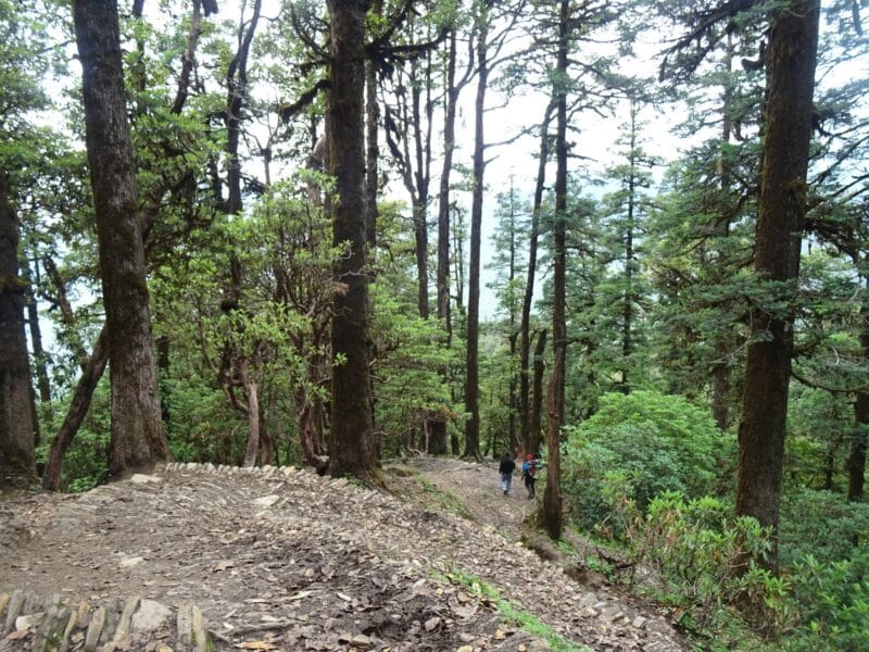 History of Roopkund trek