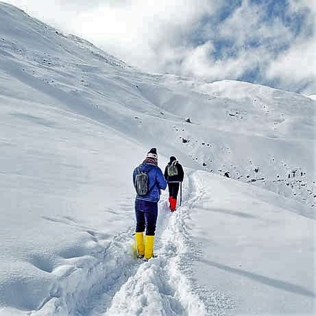 Trekkers walking through trails during Pangarchulla Peak Trek