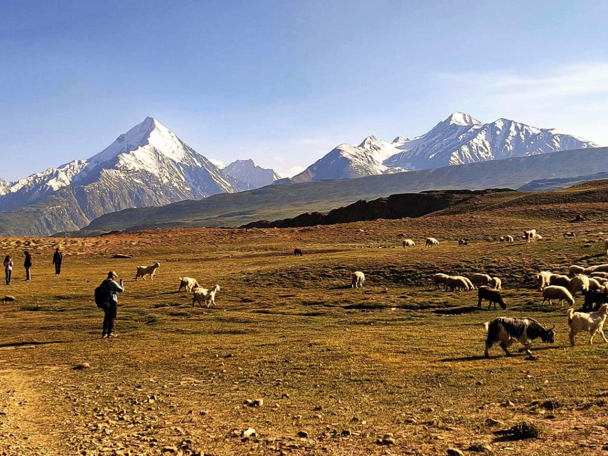 From Manali to Paradise: Discover the Hidden Gems of the Hampta Pass Trek